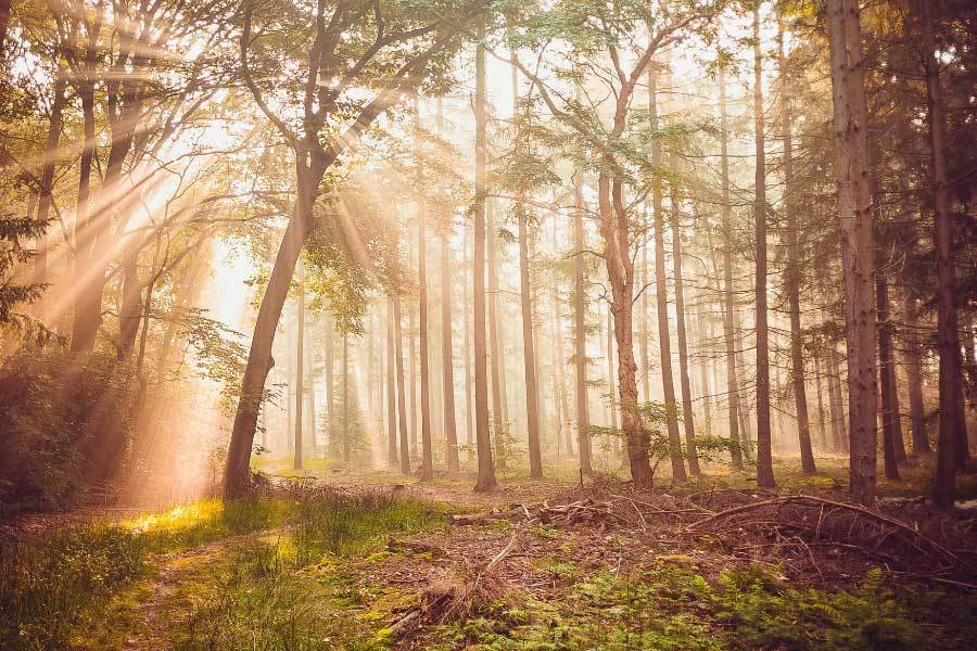 成为马竞乃, 马竞的首秀 成为马竞乃, 马竞的首秀