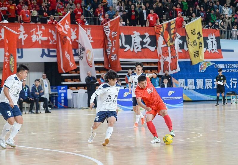 YsZZB, 与活力, 河北五超